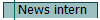  News intern